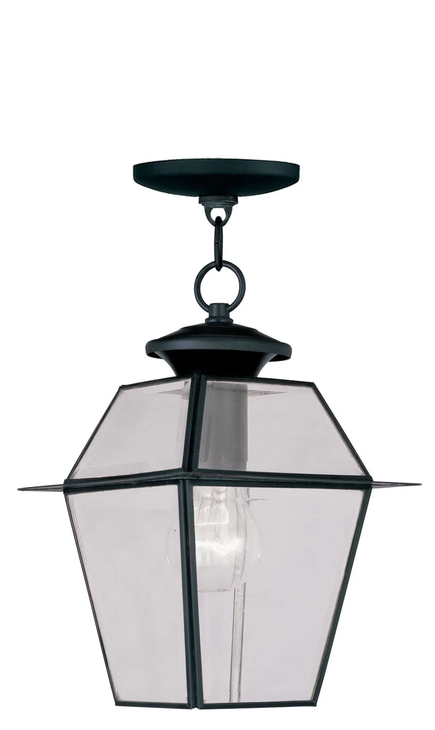 Westover 1-Light Outdoor Chain Lantern