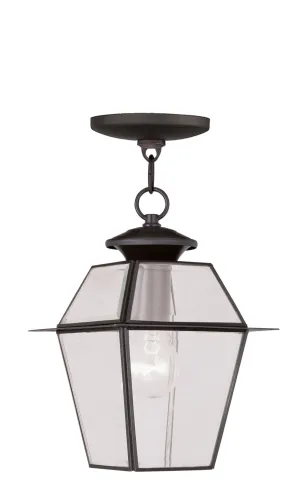 Westover 1-Light Outdoor Chain Lantern