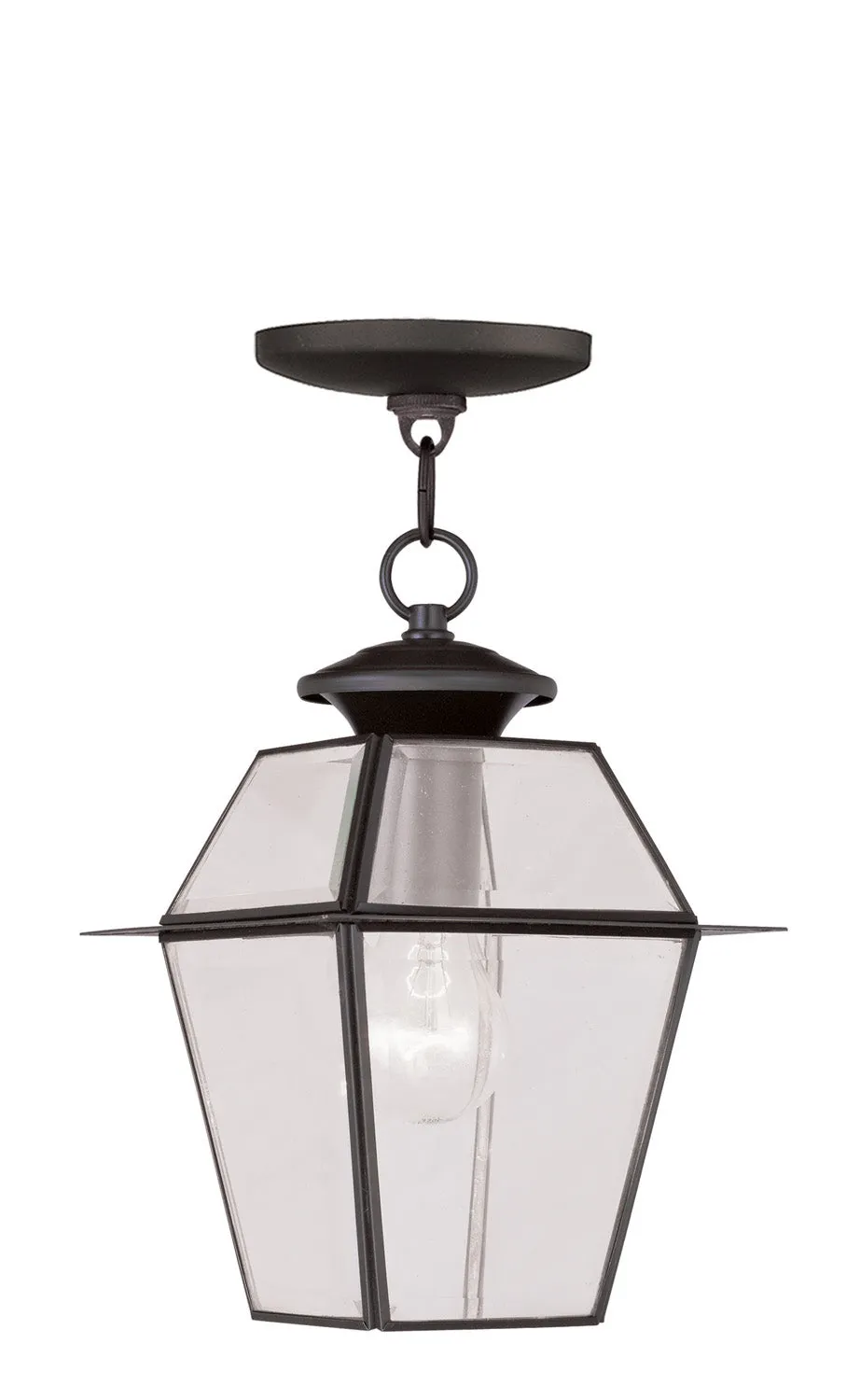 Westover 1-Light Outdoor Chain Lantern